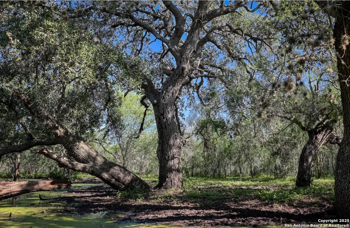 000 County Line Road # 120 Beeville TX 78102