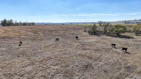 8646 Fm 155 Lagrange TX 78945