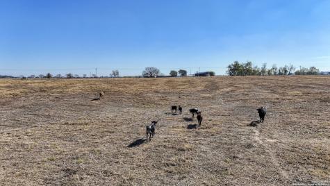 8646 Fm 155 Lagrange TX 78945