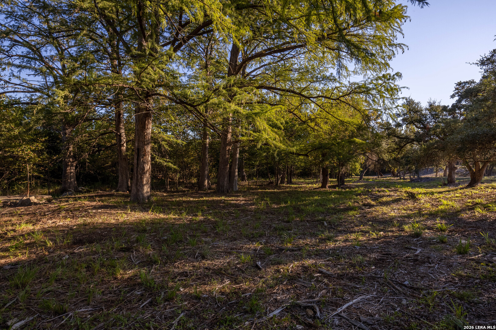 Lot 21 Tbd Canyon Terrace Canyon Lake TX 78133