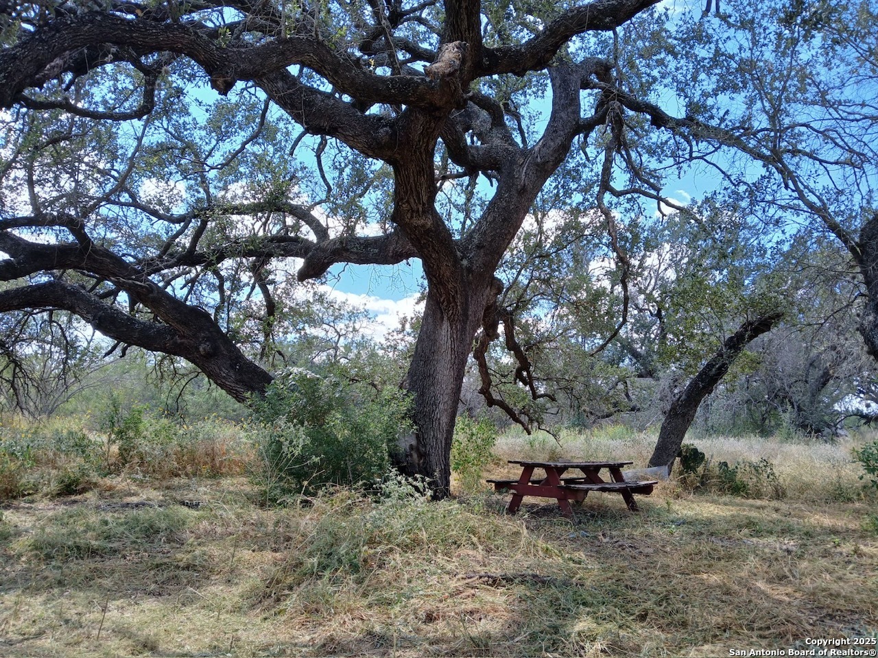 4415 State Highway 173 Bigfoot TX 78005