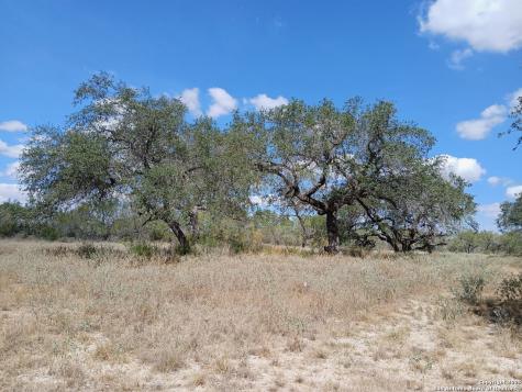 4415 State Highway 173 Bigfoot TX 78005