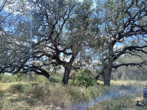 4415 State Highway 173 Bigfoot TX 78005