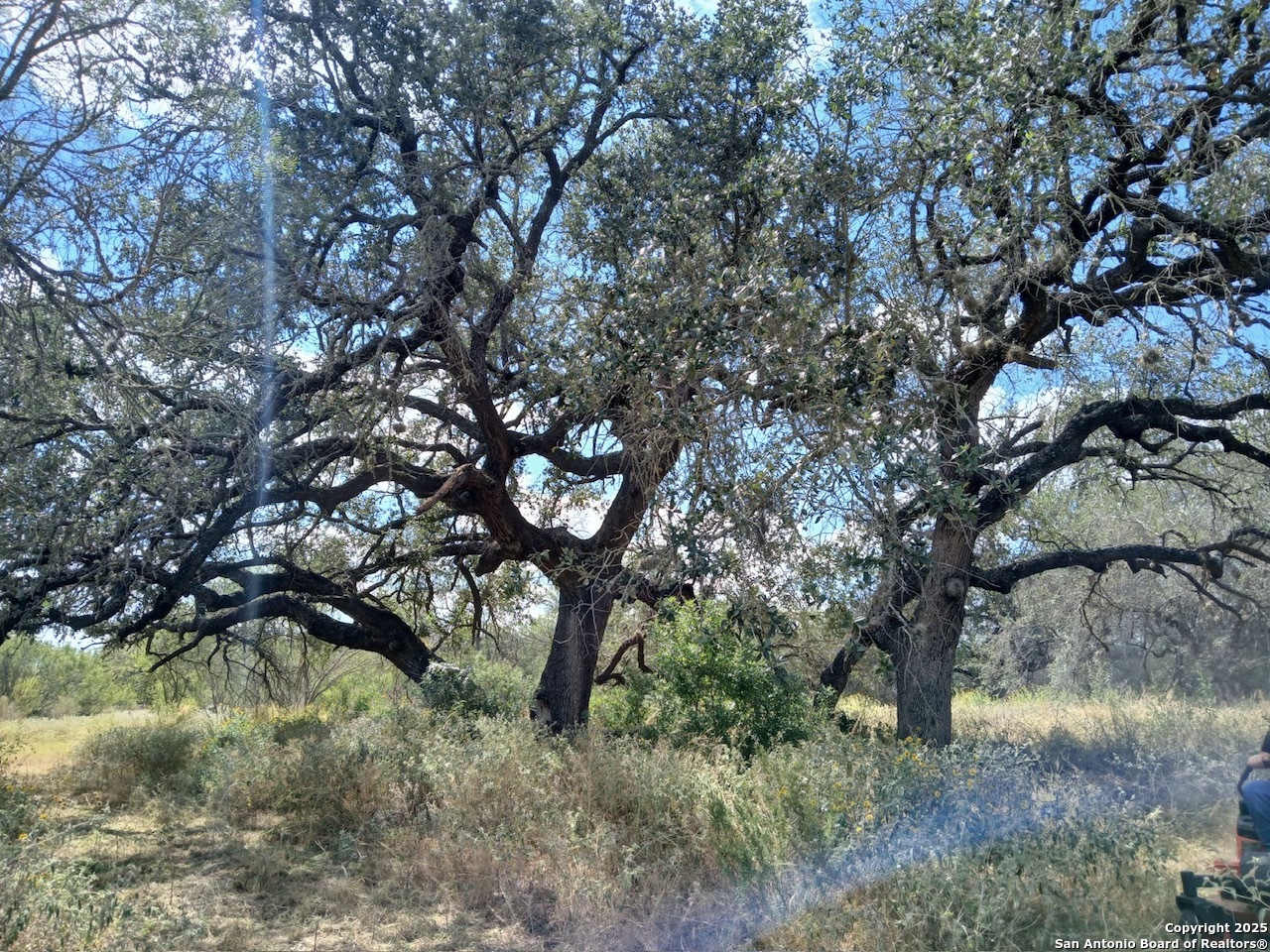 4415 State Highway 173 Bigfoot TX 78005