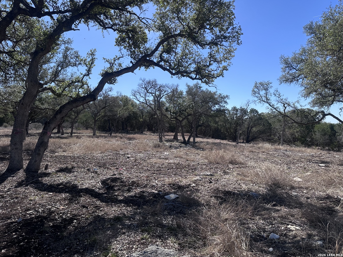 909 Dawns View Spring Branch TX 78070