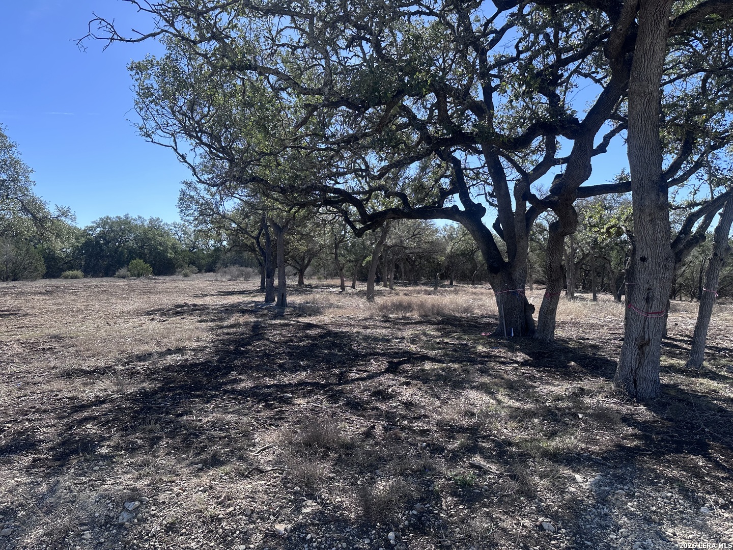 909 Dawns View Spring Branch TX 78070