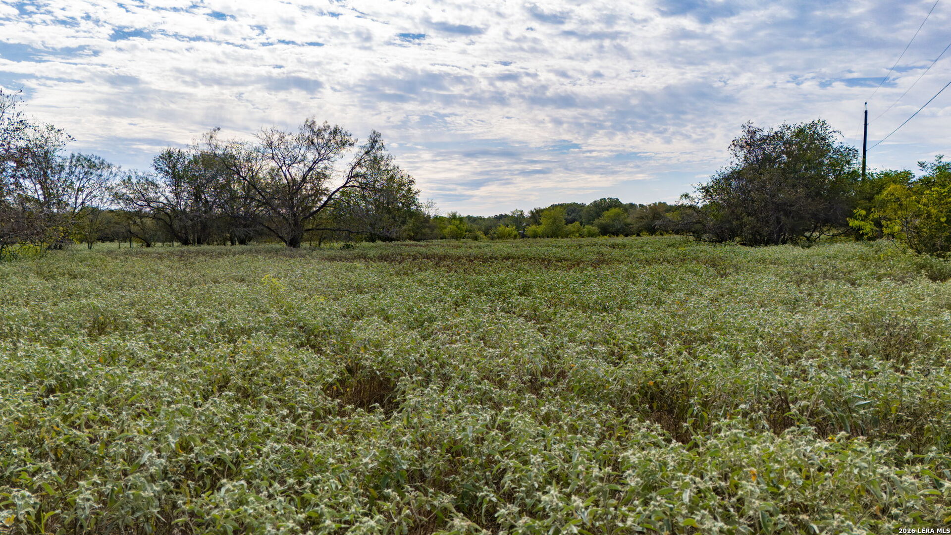 0 Frye Seguin TX 78155