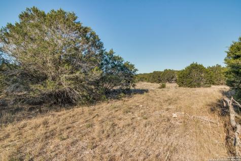 1713 Paradise Parkway Canyon Lake TX 78133