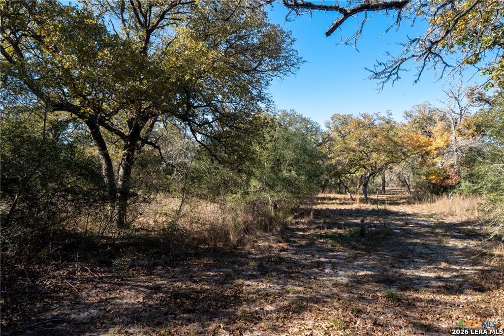 12851 Fm 1117 Seguin TX 78155