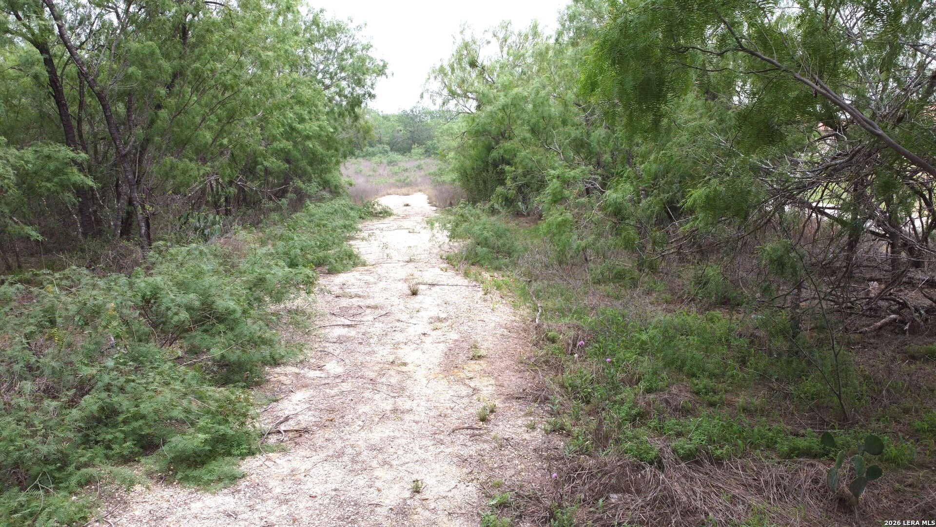 18280 Jackel Von Ormy TX 78073