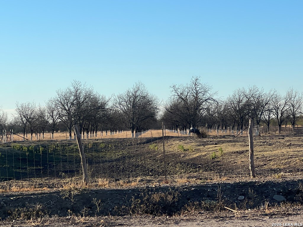 0000 Silver Bridge Road Quemado TX 78877