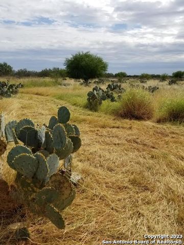 0 Hwy-85 Dilley TX 78017
