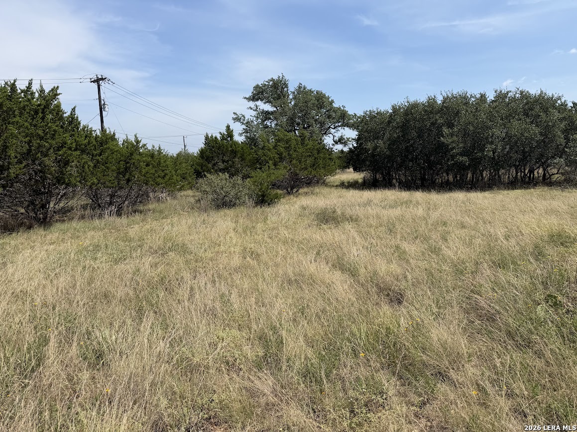 105 S Jerry Gray Blanco TX 78606