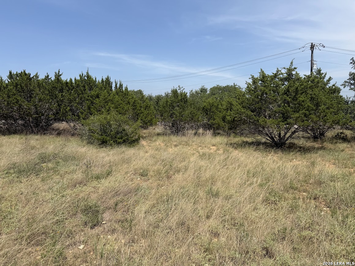 105 S Jerry Gray Blanco TX 78606
