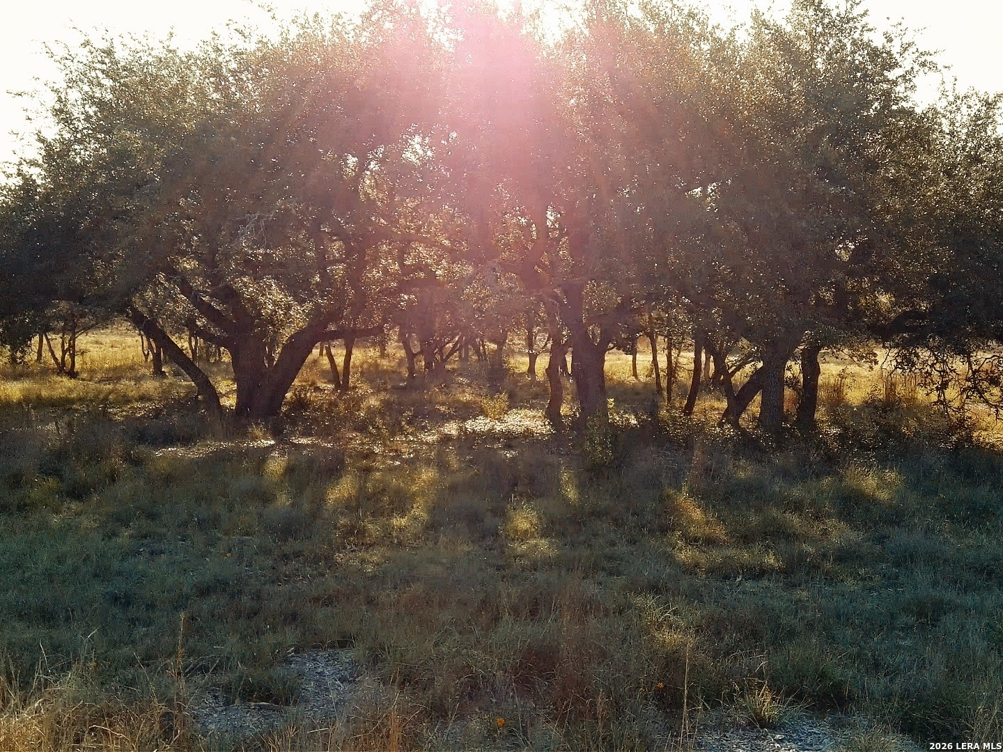 0 Whiskey Trail Blanco TX 78606