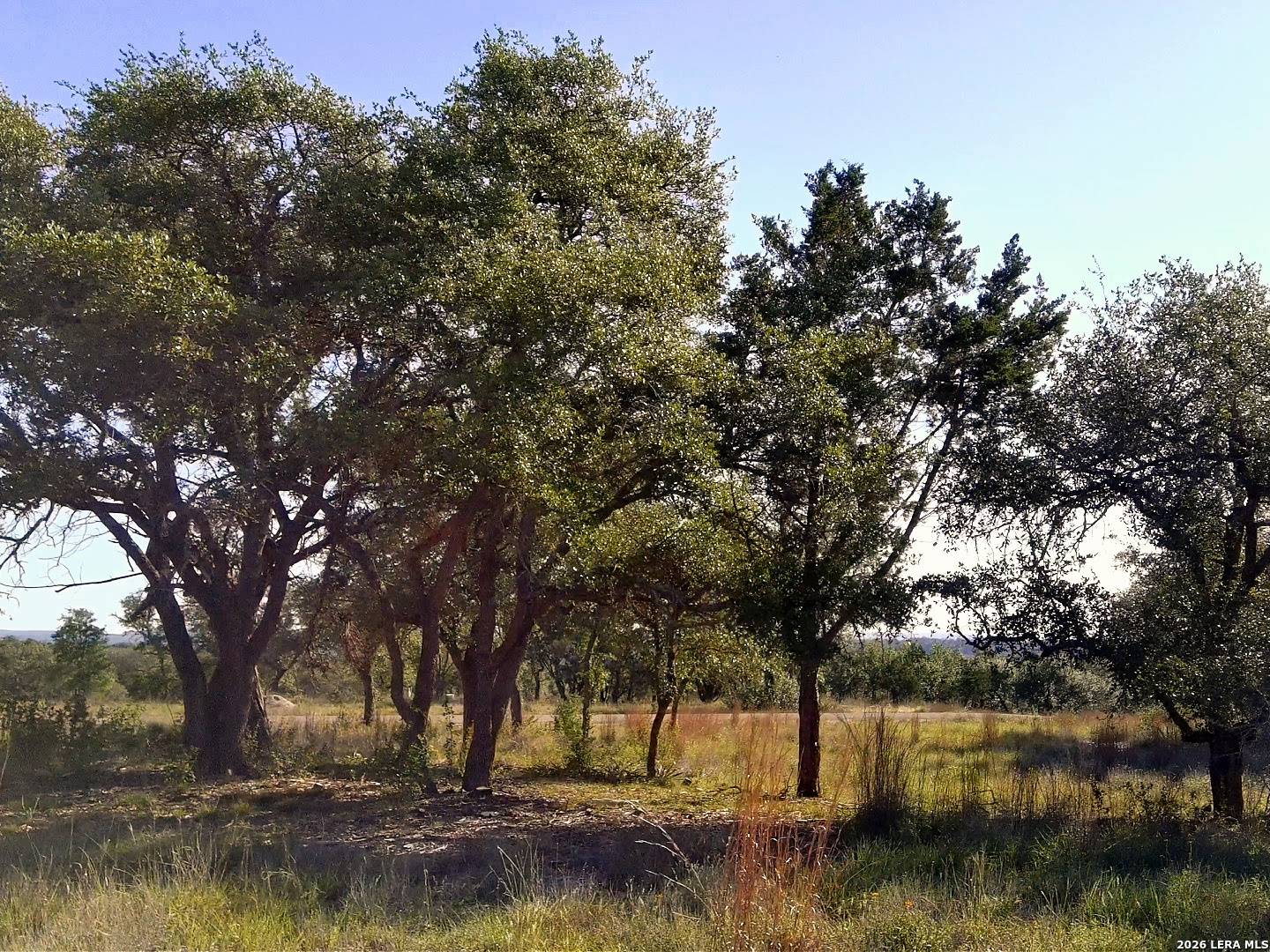 0 Whiskey Trail Blanco TX 78606