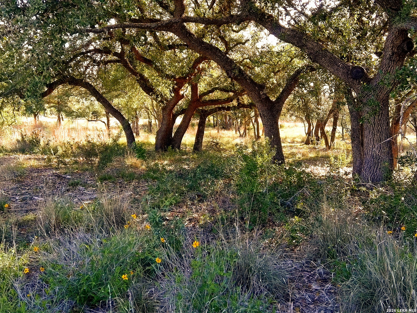 0 Whiskey Trail Blanco TX 78606