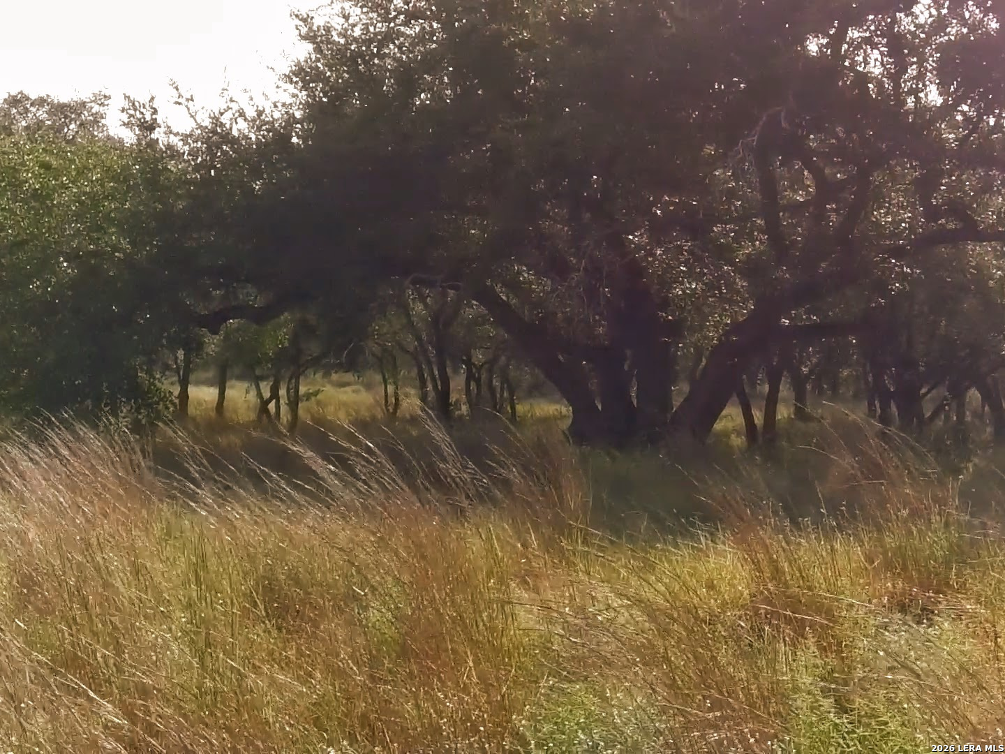 0 Whiskey Trail Blanco TX 78606