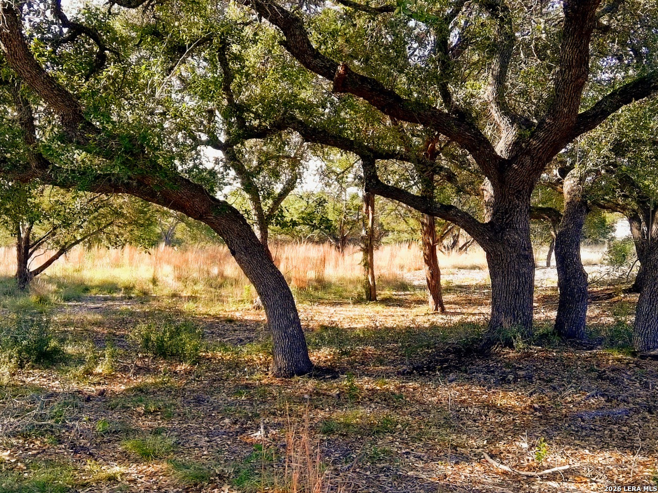 0 Whiskey Trail Blanco TX 78606