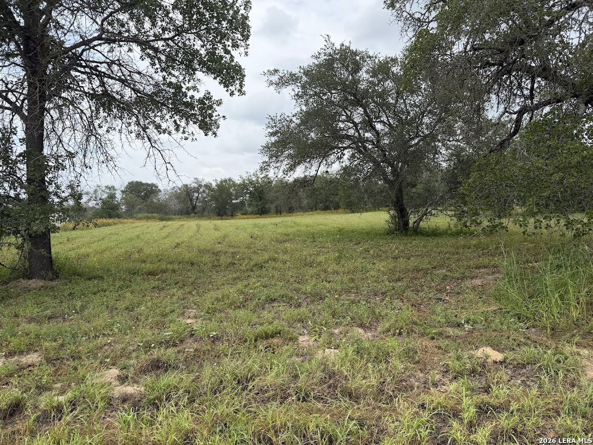 2225 Silver Mountain Drive San Antonio TX 78264