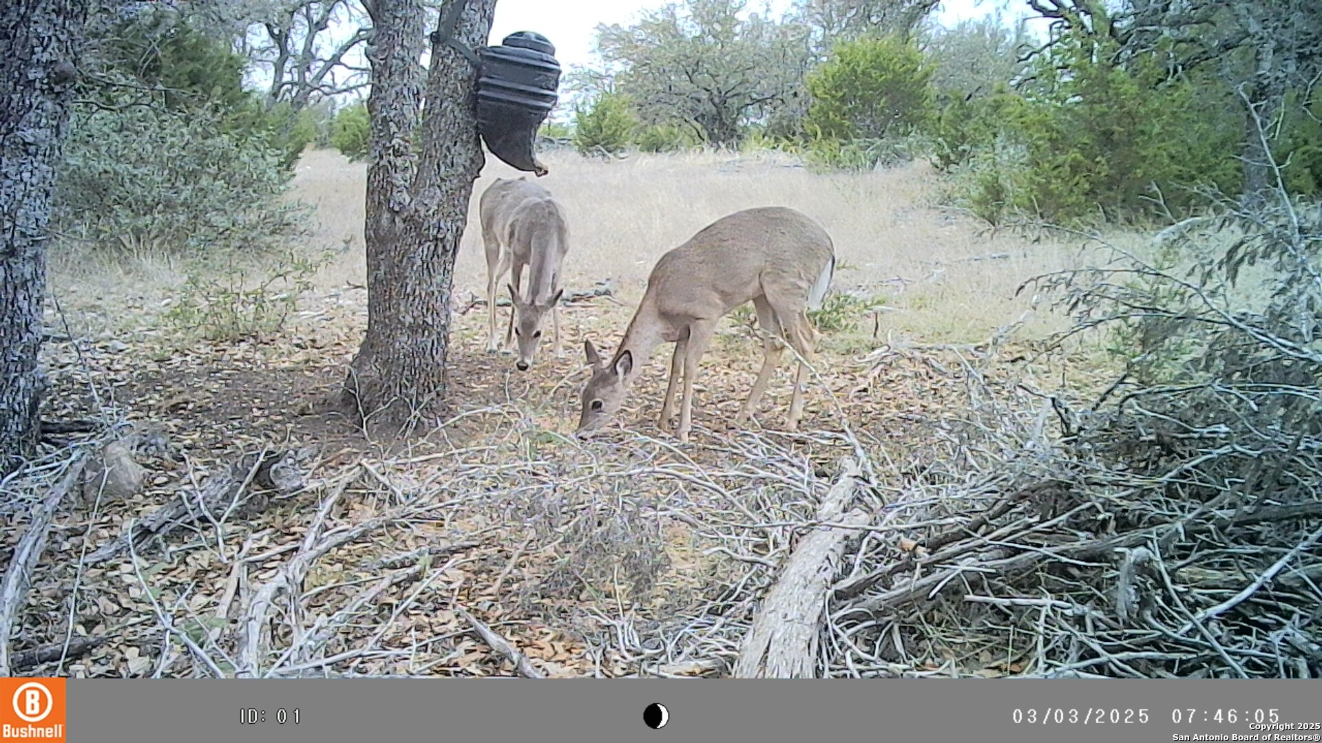 Lot 8 Orion Way Junction TX 76849