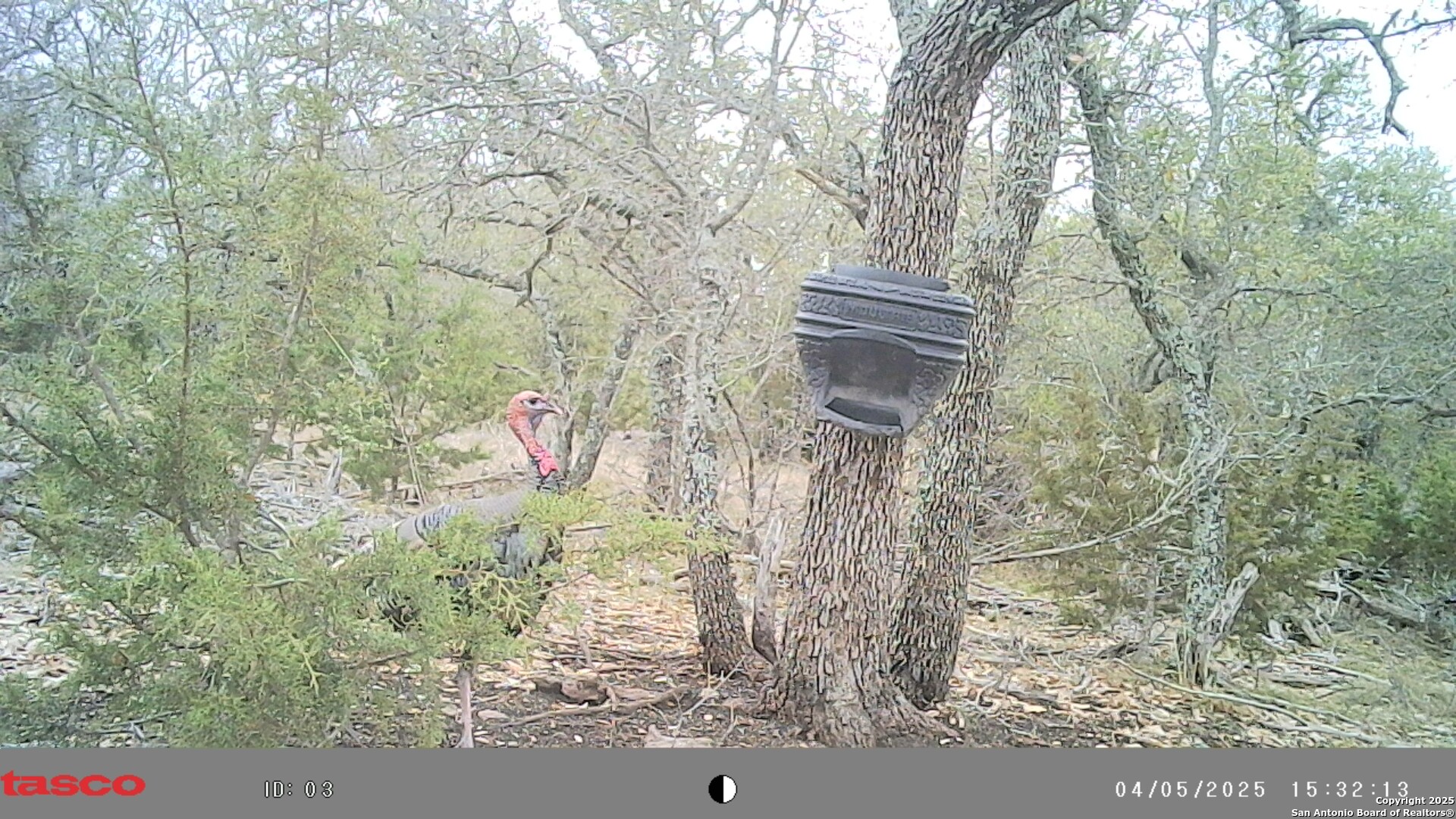 Lot 8 Orion Way Junction TX 76849