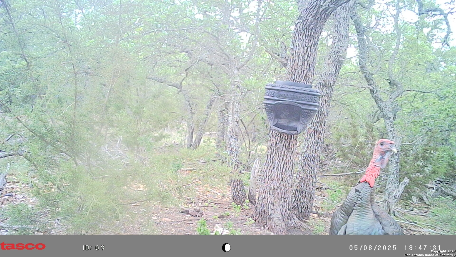 Lot 8 Orion Way Junction TX 76849