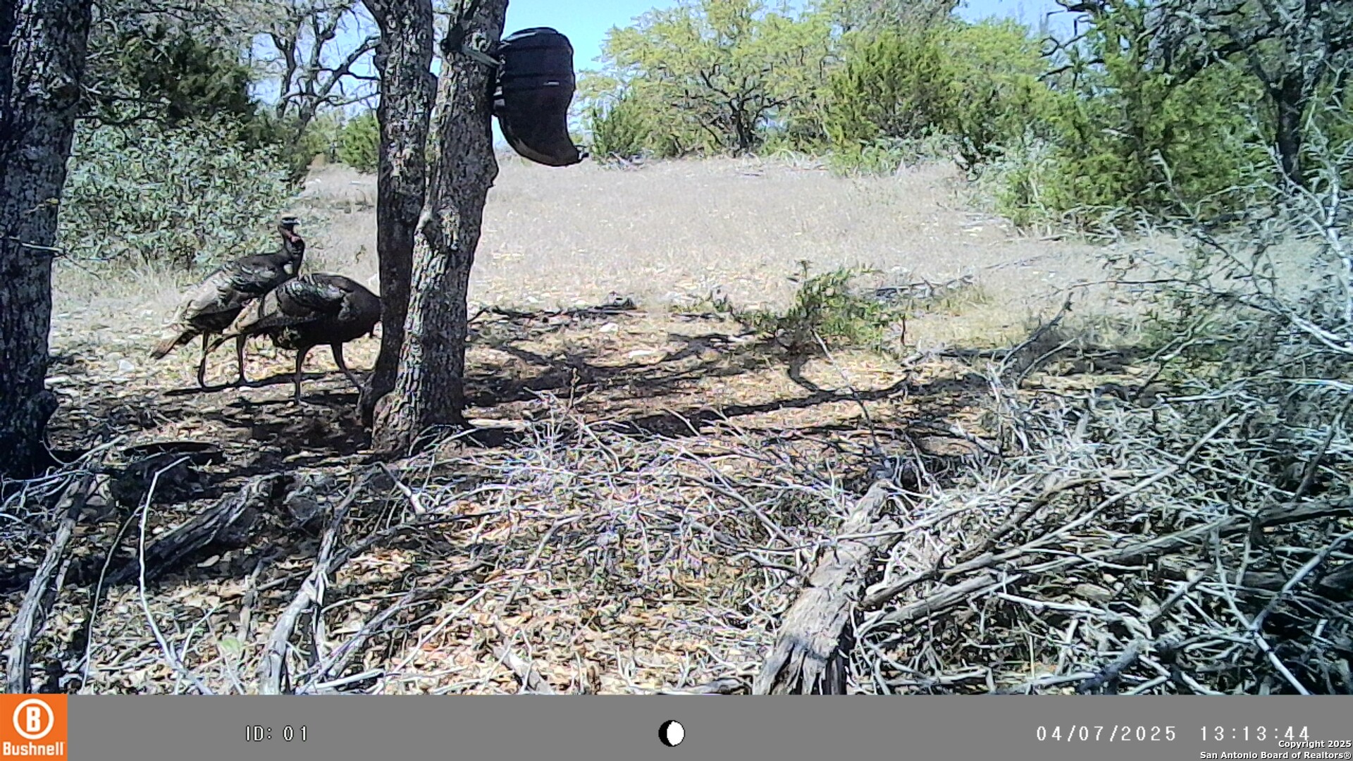 Lot 8 Orion Way Junction TX 76849