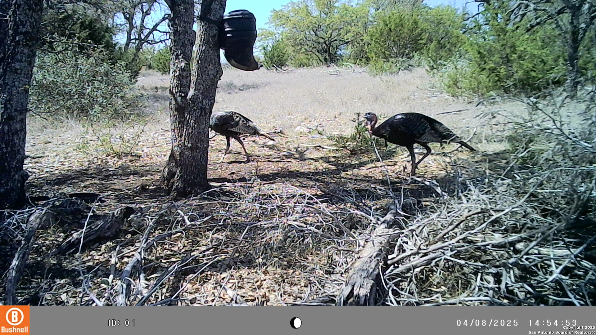 Lot 8 Orion Way Junction TX 76849