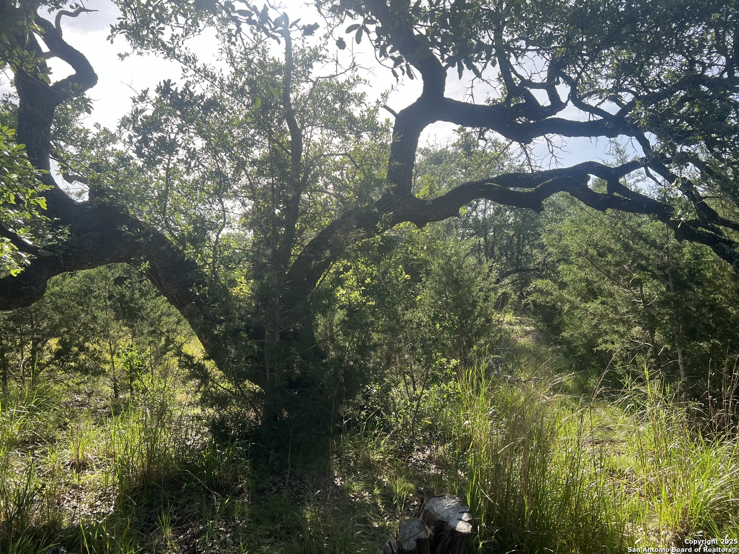 118 Coleman Boerne TX 78006