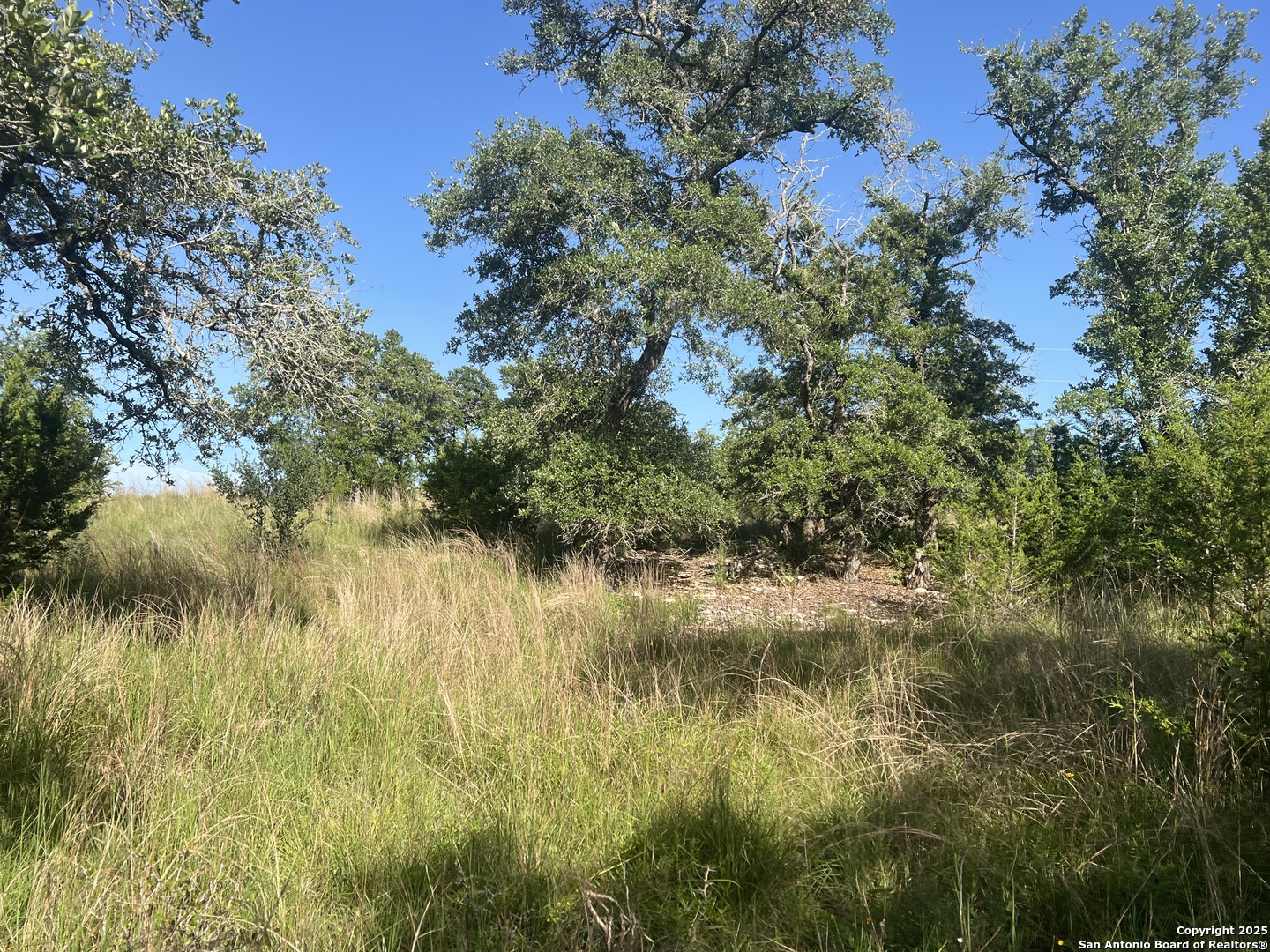 118 Coleman Boerne TX 78006