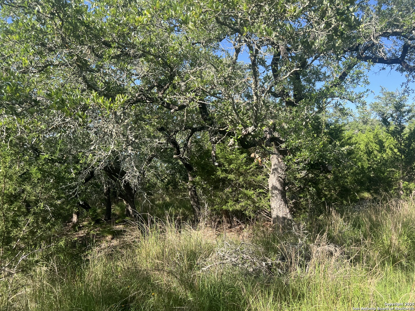 118 Coleman Boerne TX 78006
