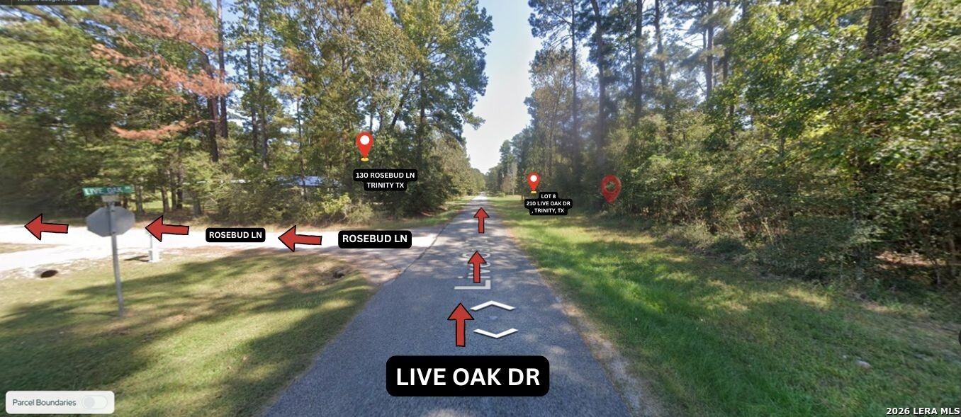 0 Live Oak Trinity TX 75862