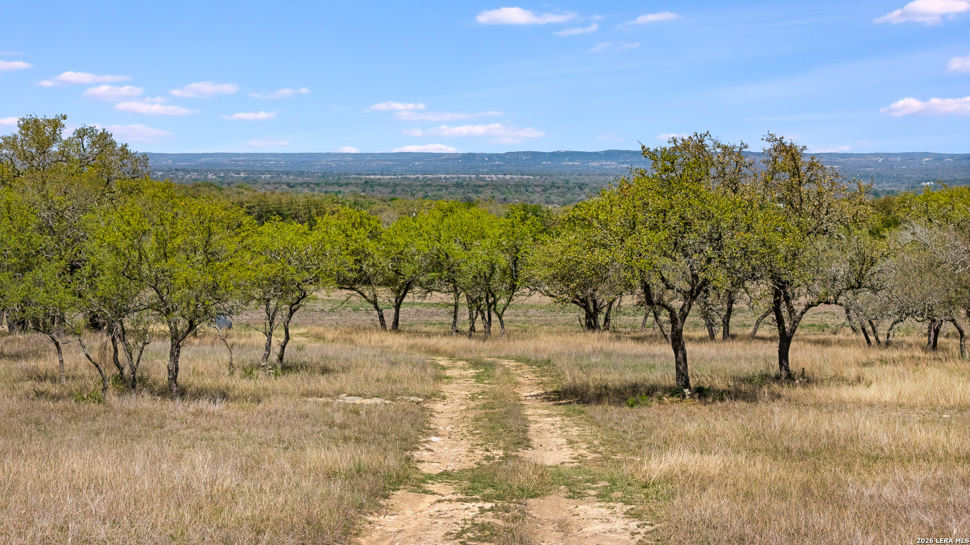 16 Lewis Road Boerne TX 78006