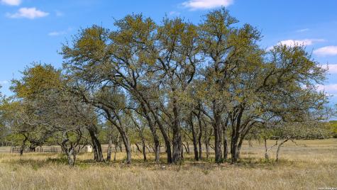16 Lewis Road Boerne TX 78006