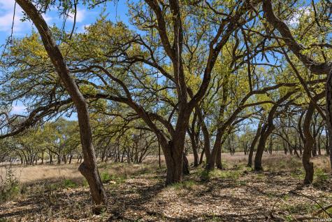 16 Lewis Road Boerne TX 78006