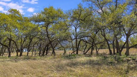 16 Lewis Road Boerne TX 78006