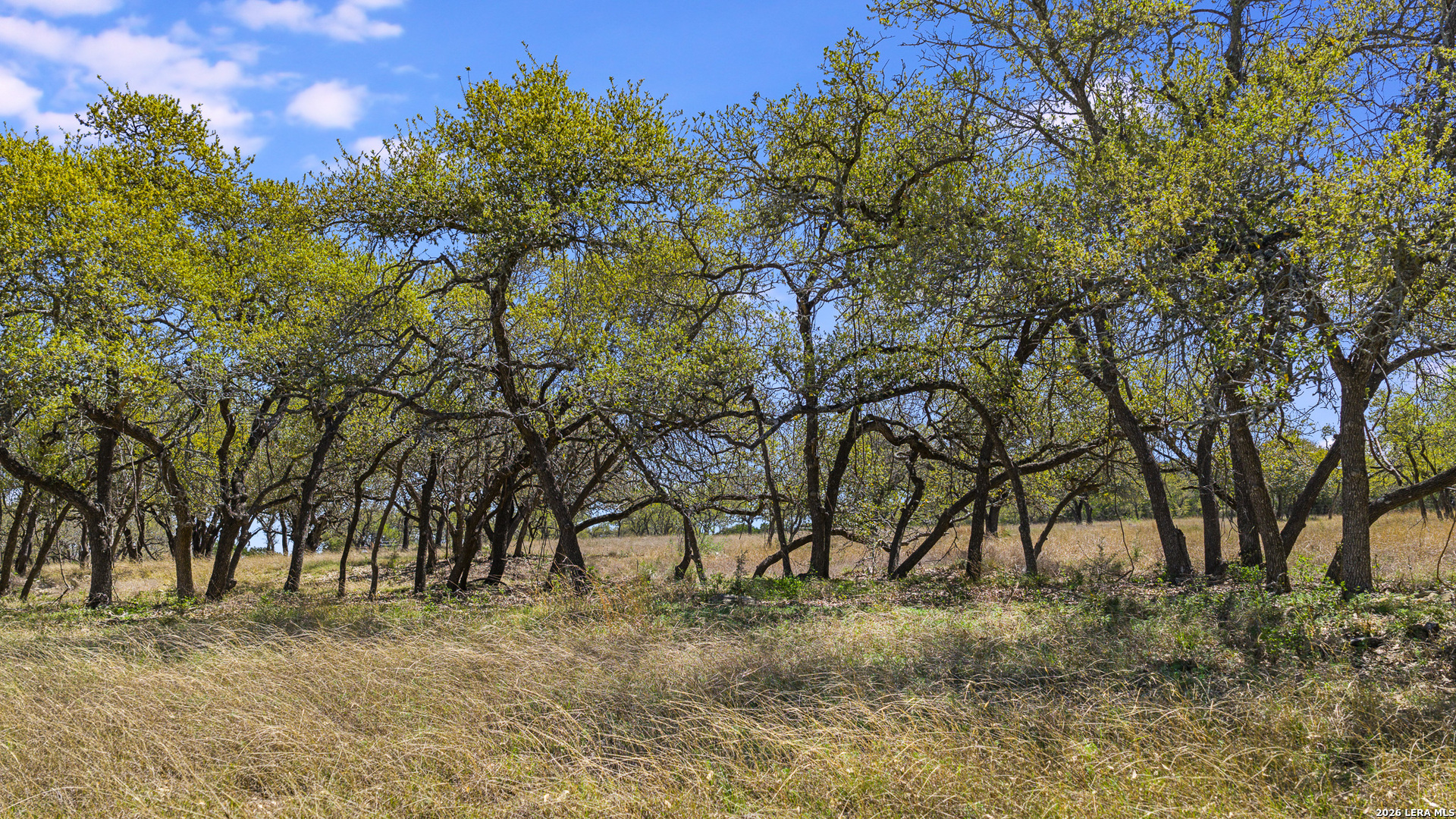 16 Lewis Road Boerne TX 78006