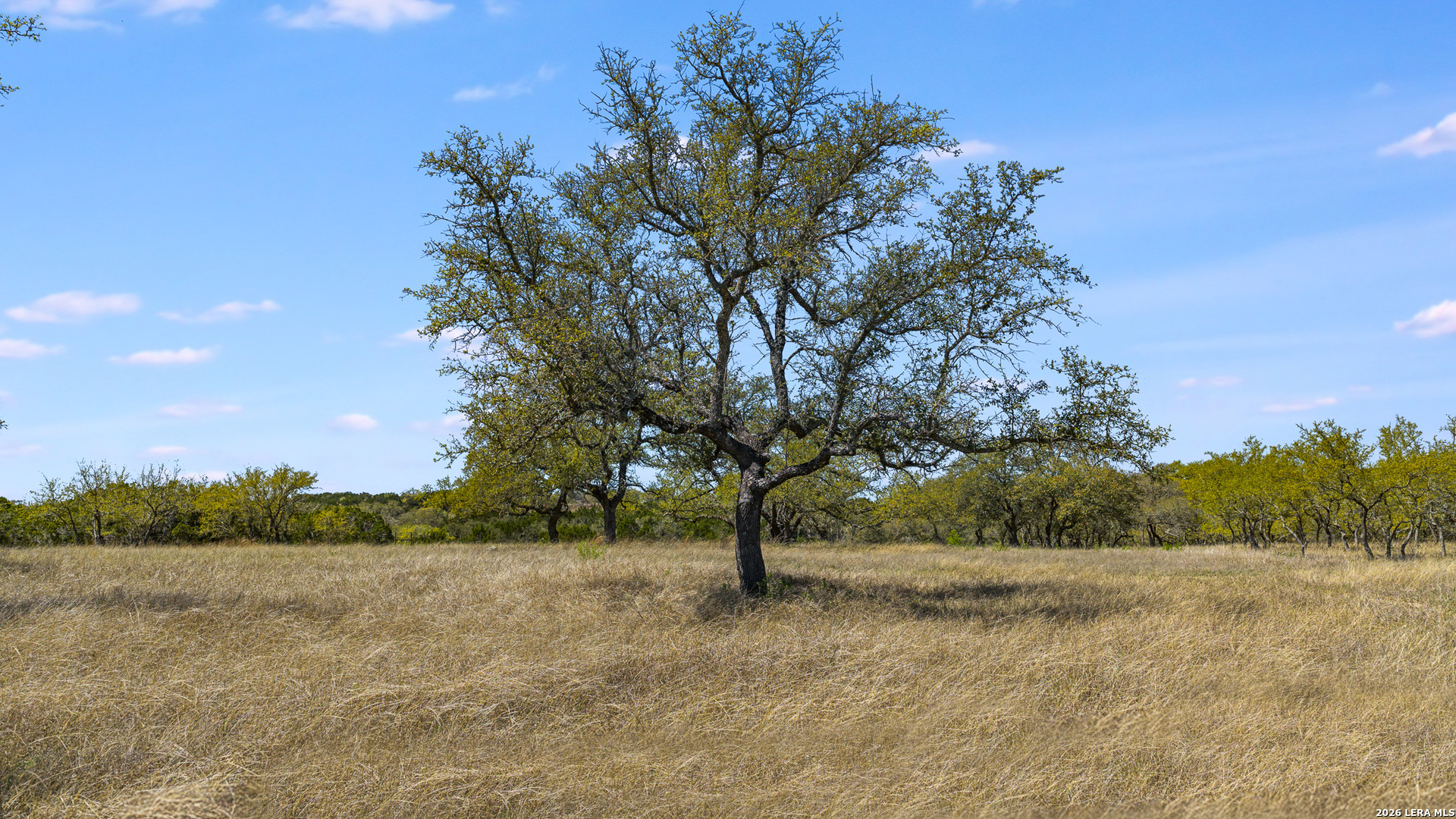 16 Lewis Road Boerne TX 78006