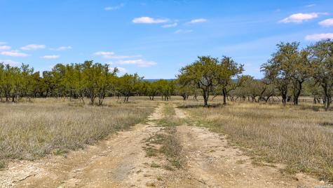 16 Lewis Road Boerne TX 78006