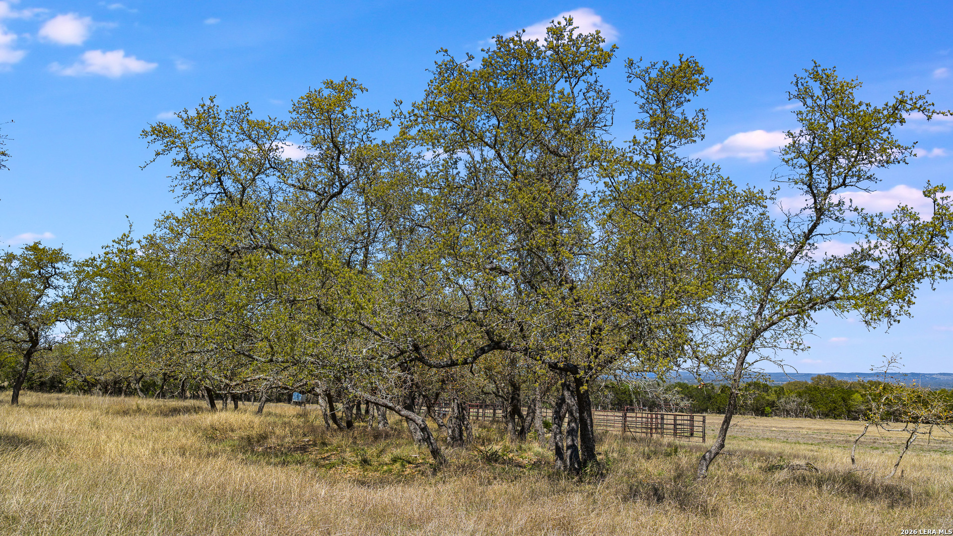 16 Lewis Road Boerne TX 78006