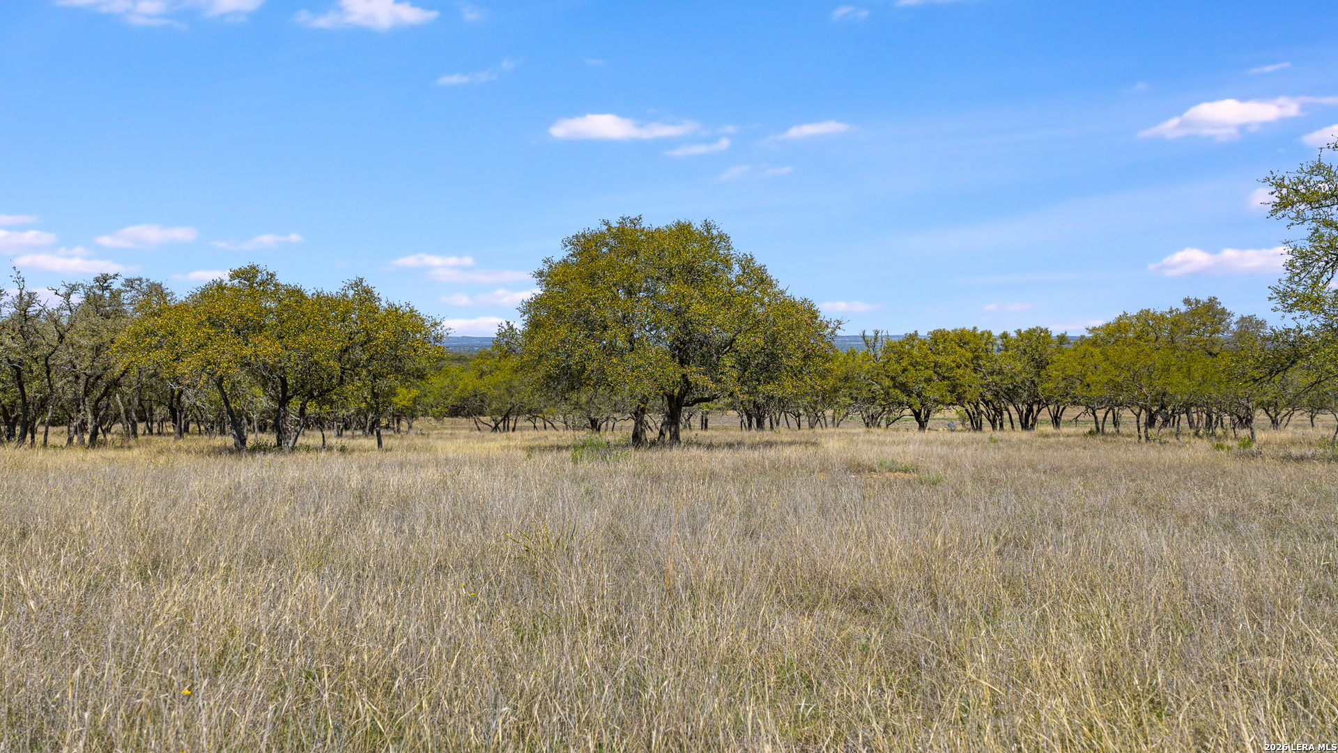 16 Lewis Road Boerne TX 78006