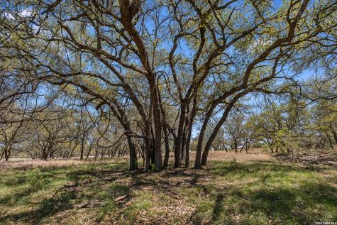 16 Lewis Road Boerne TX 78006