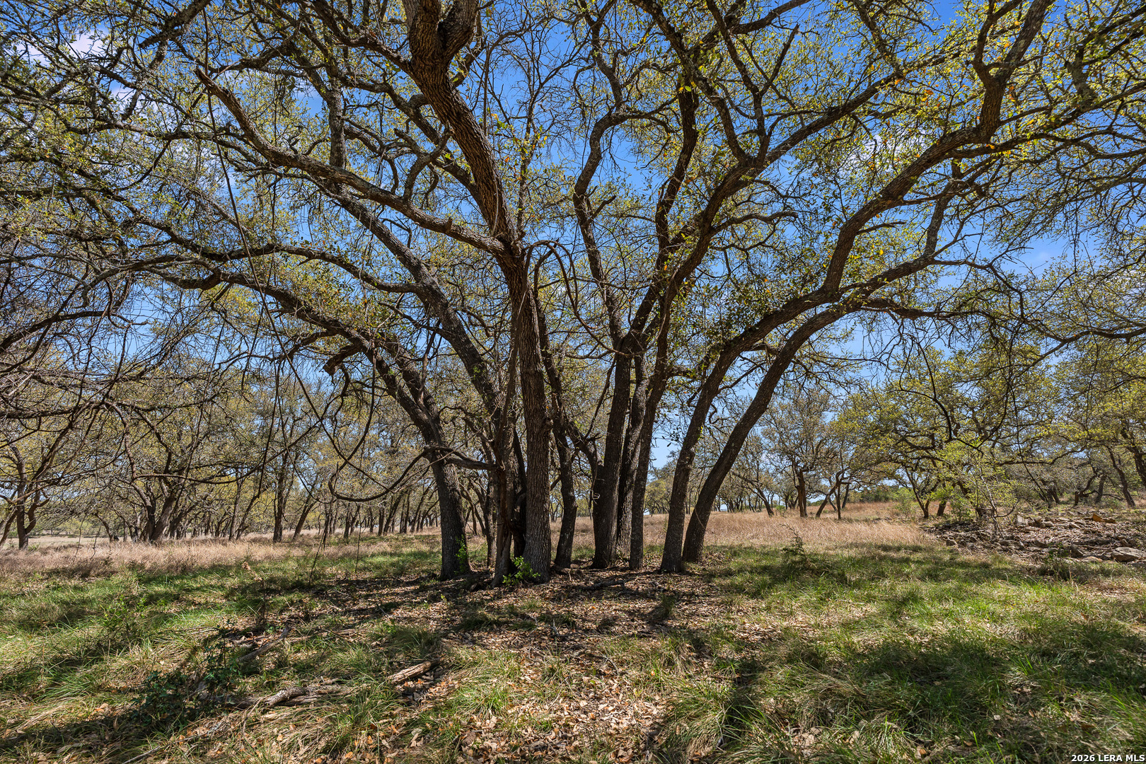 16 Lewis Road Boerne TX 78006