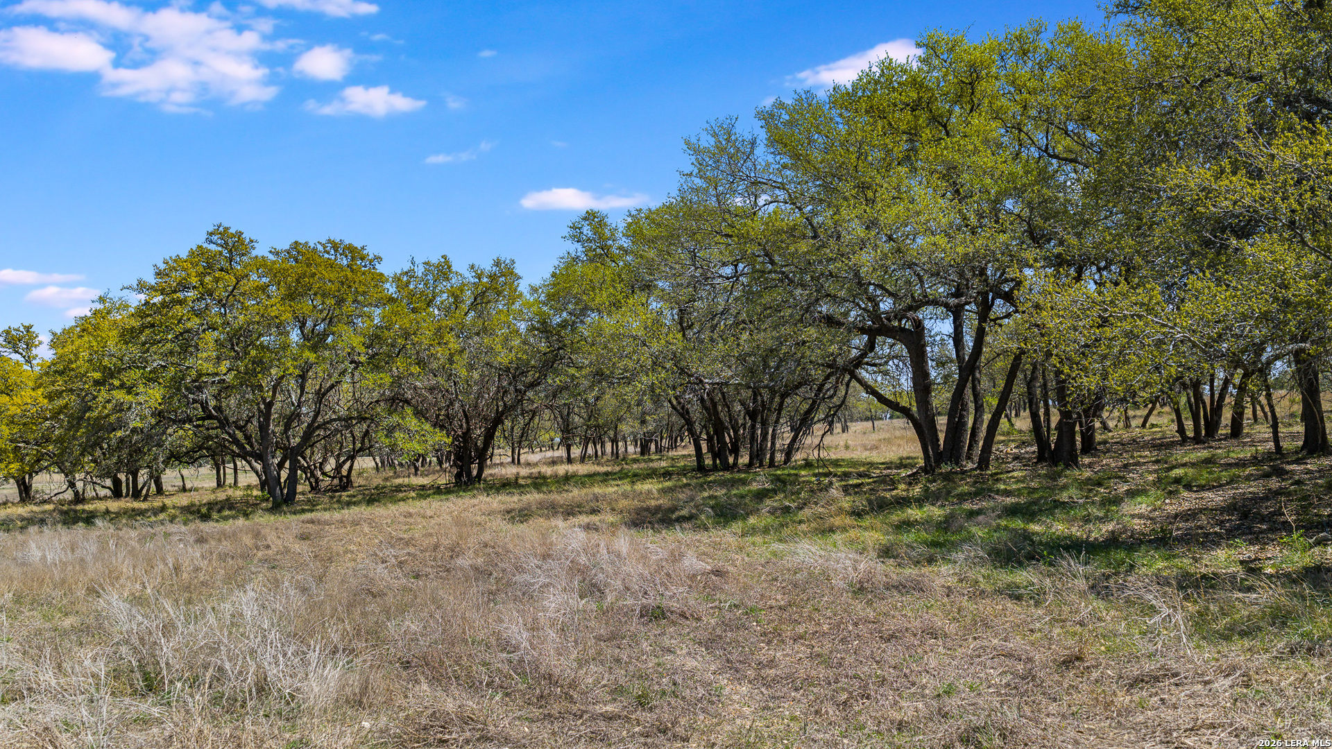 16 Lewis Road Boerne TX 78006