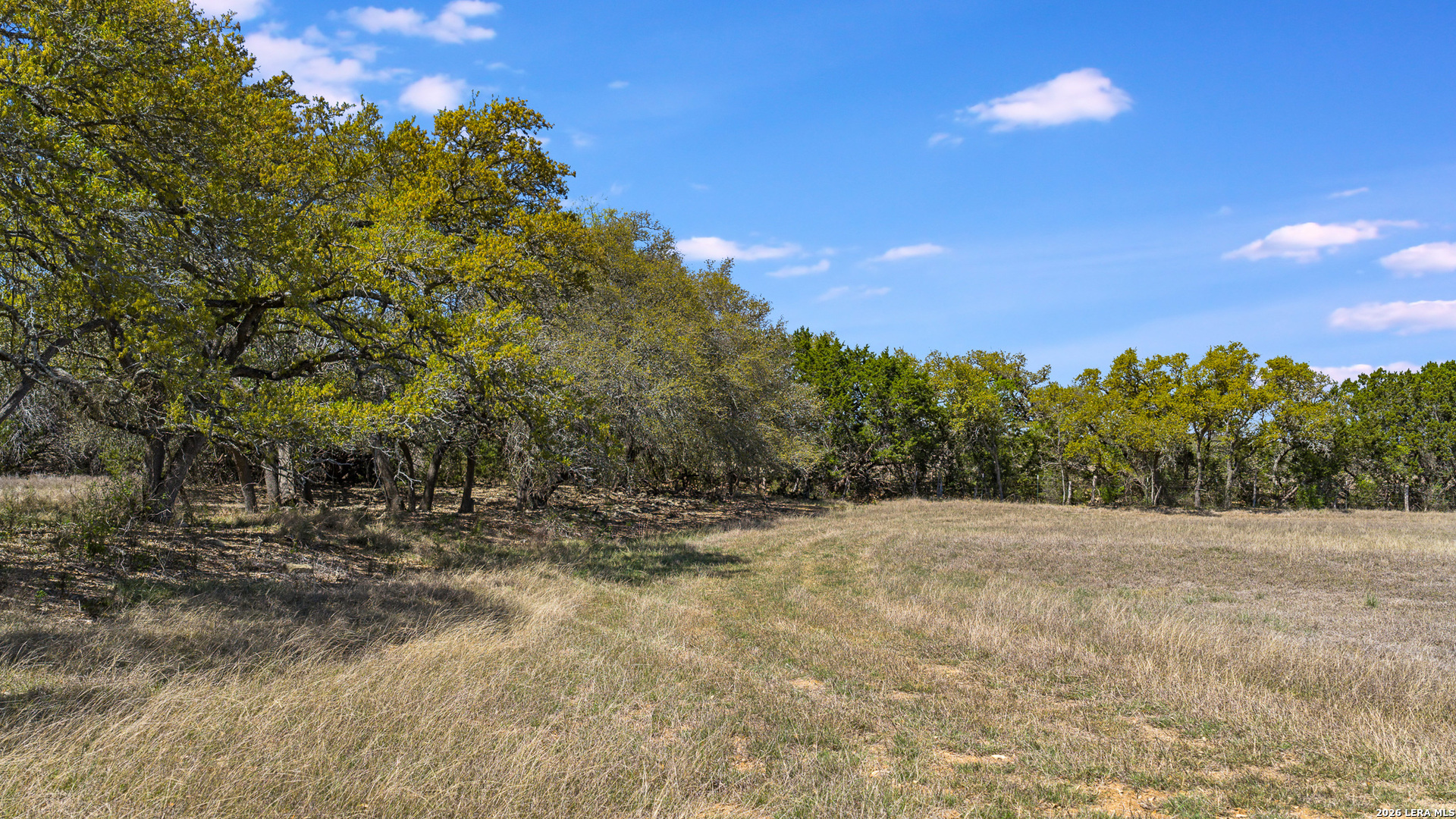 16 Lewis Road Boerne TX 78006