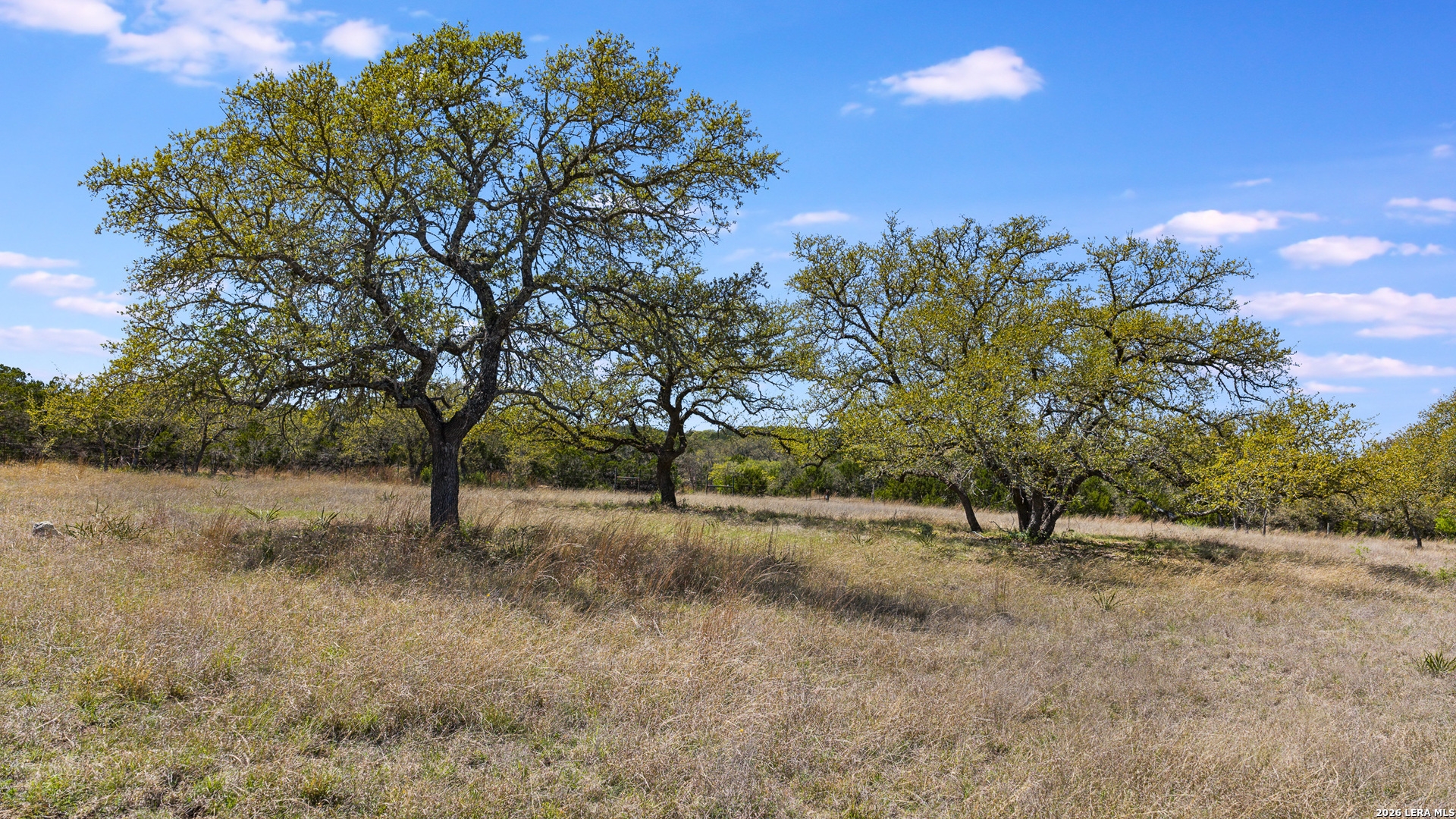 16 Lewis Road Boerne TX 78006