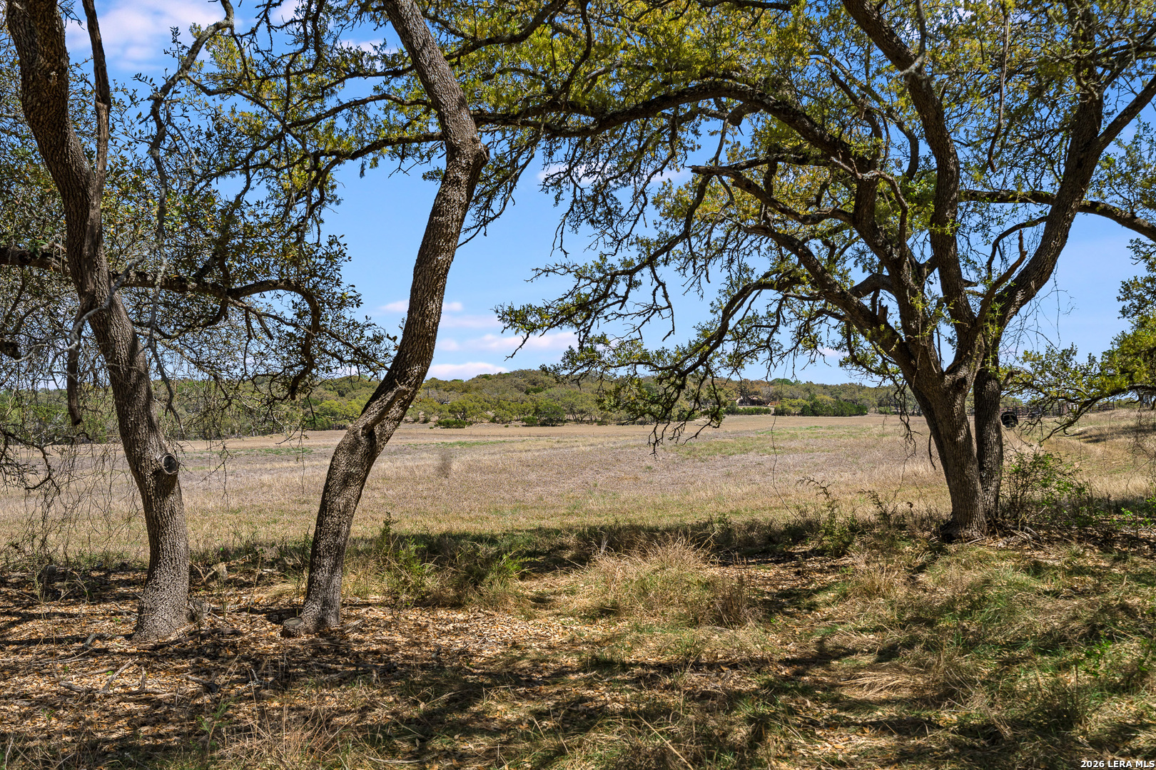16 Lewis Road Boerne TX 78006