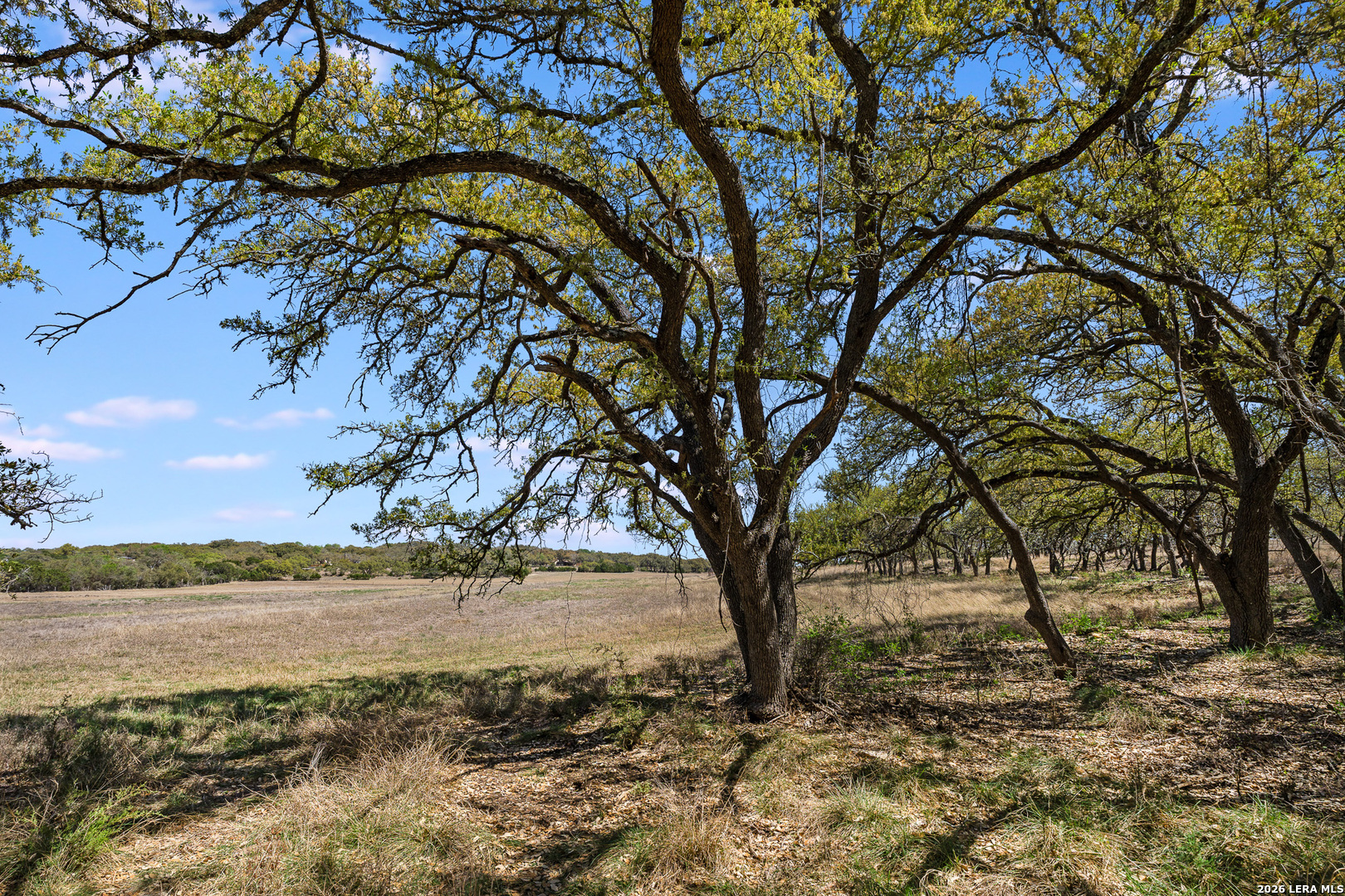 16 Lewis Road Boerne TX 78006