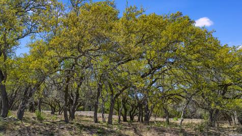 16 Lewis Road Boerne TX 78006